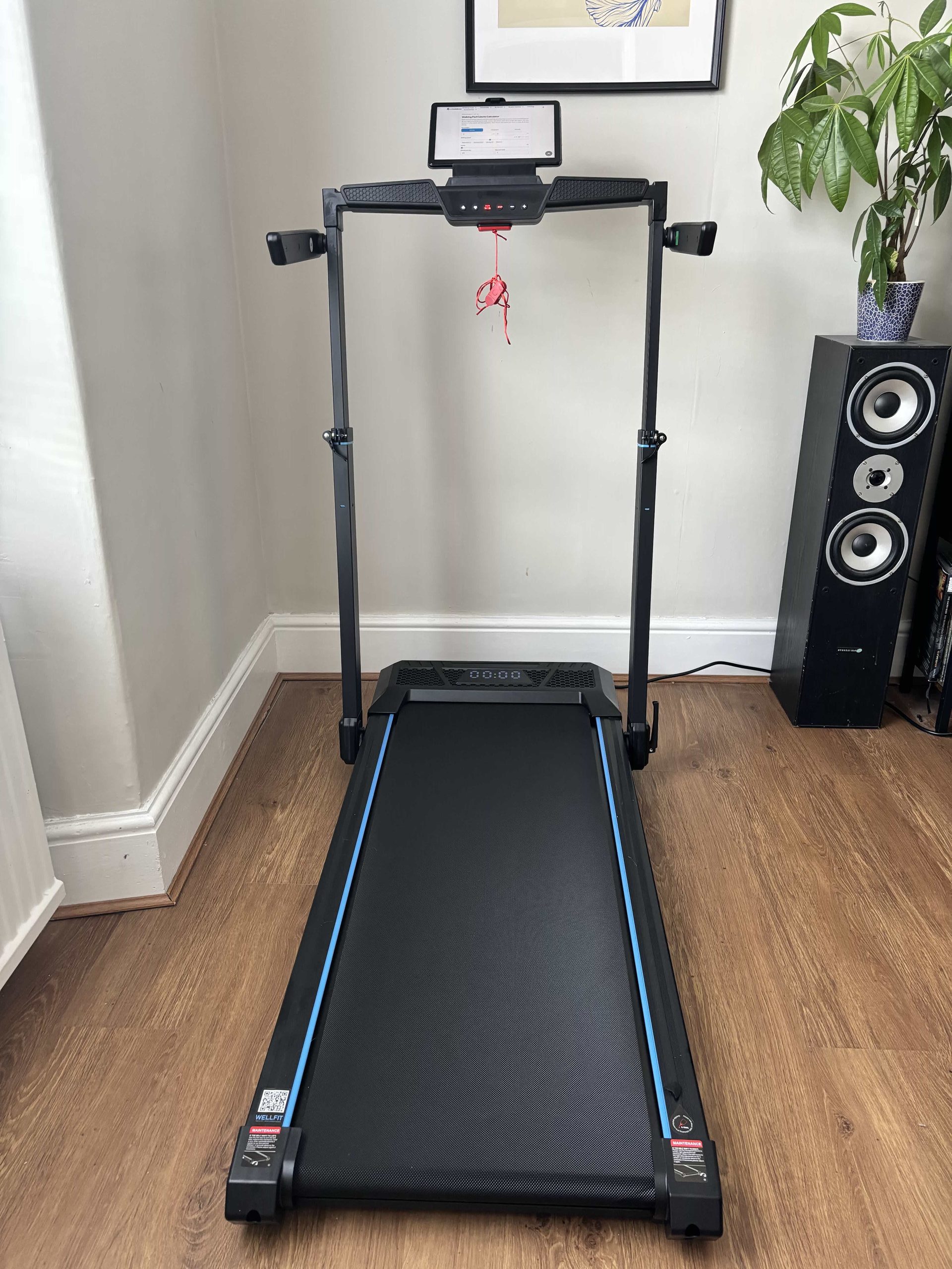 Wellfit TM032 head on, full view